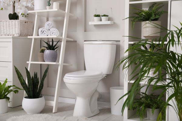 Cost of Toilet Repair in Baltimore
