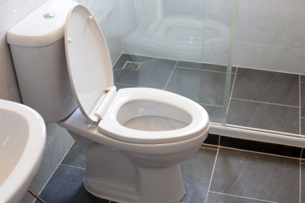 Cost of Toilet Replacement in Baltimore