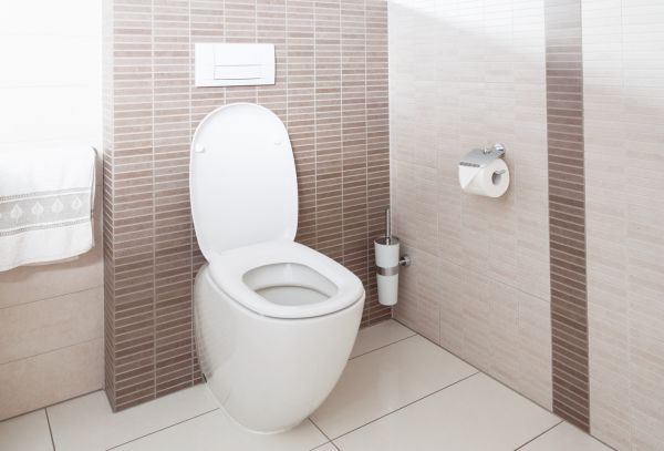 Cost of Toilet Plumbing Installation in Baltimore